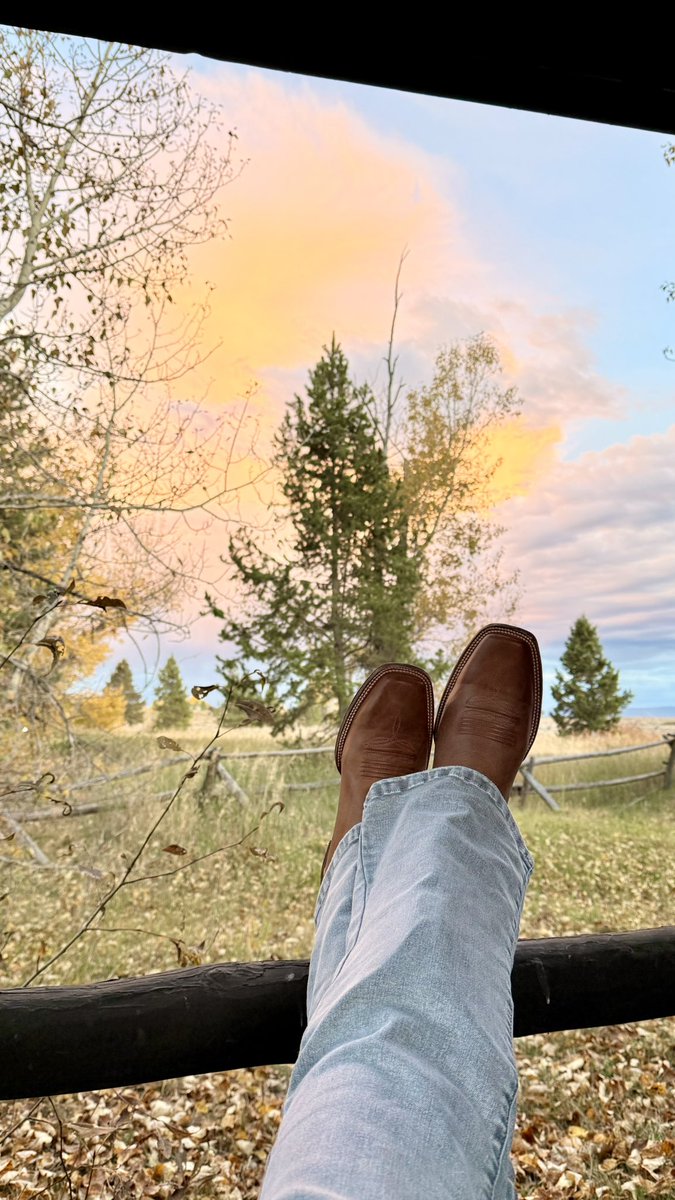 Wie ich eure Tweets zu morgigen Hansa-Spiel lese.