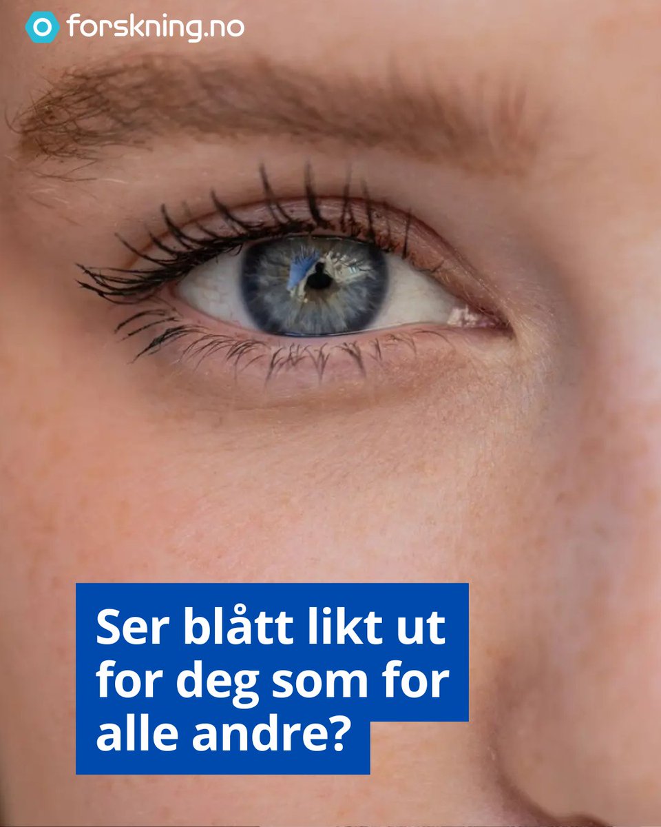 forskning.no tweet media