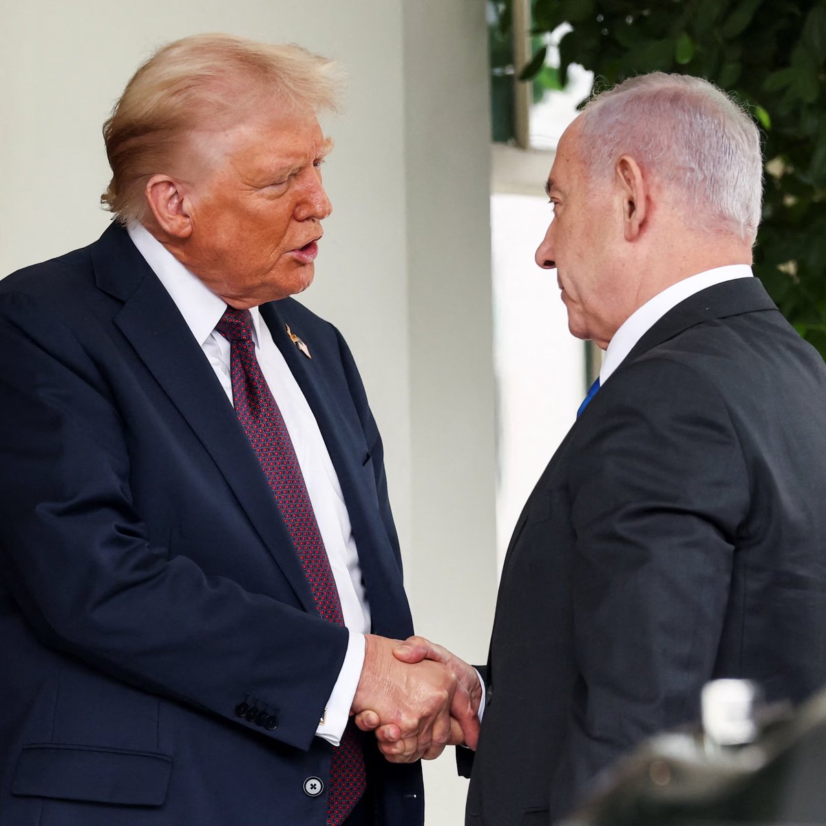 Alerta Mundial tweet media