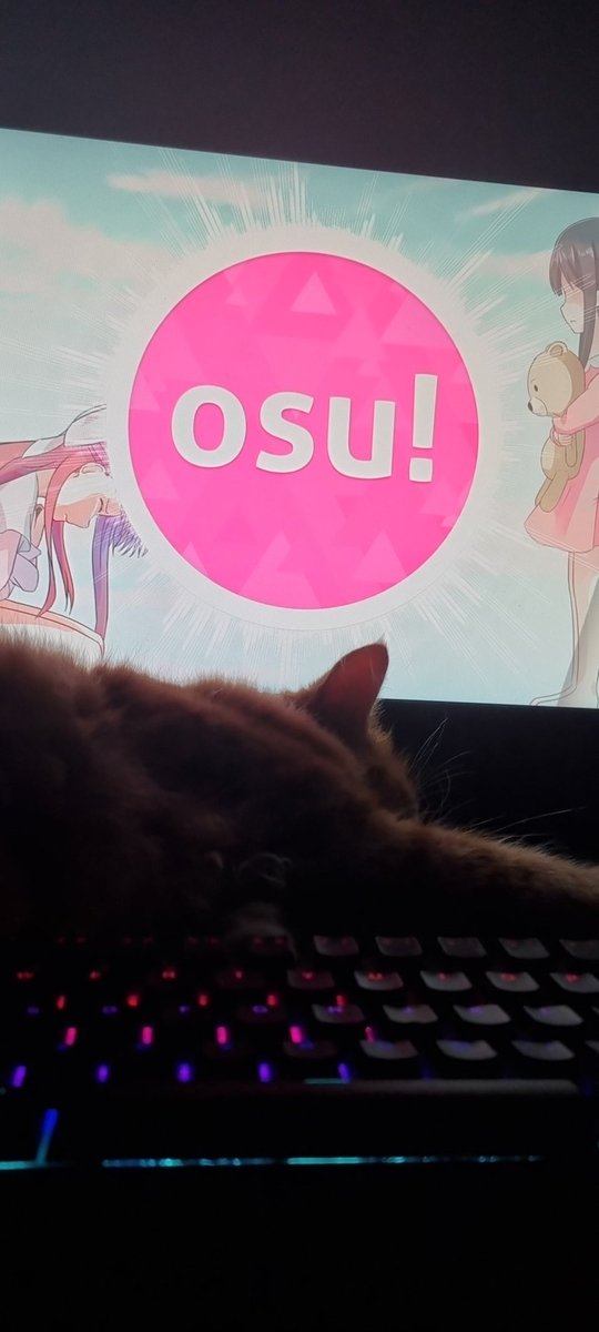 Read Horimiya tweet media