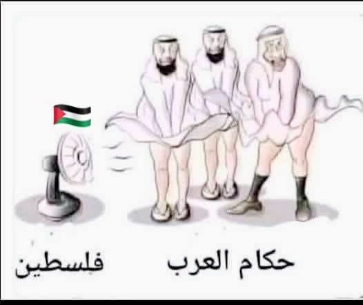 صورة لها معنى !!
غزة الفاضحة