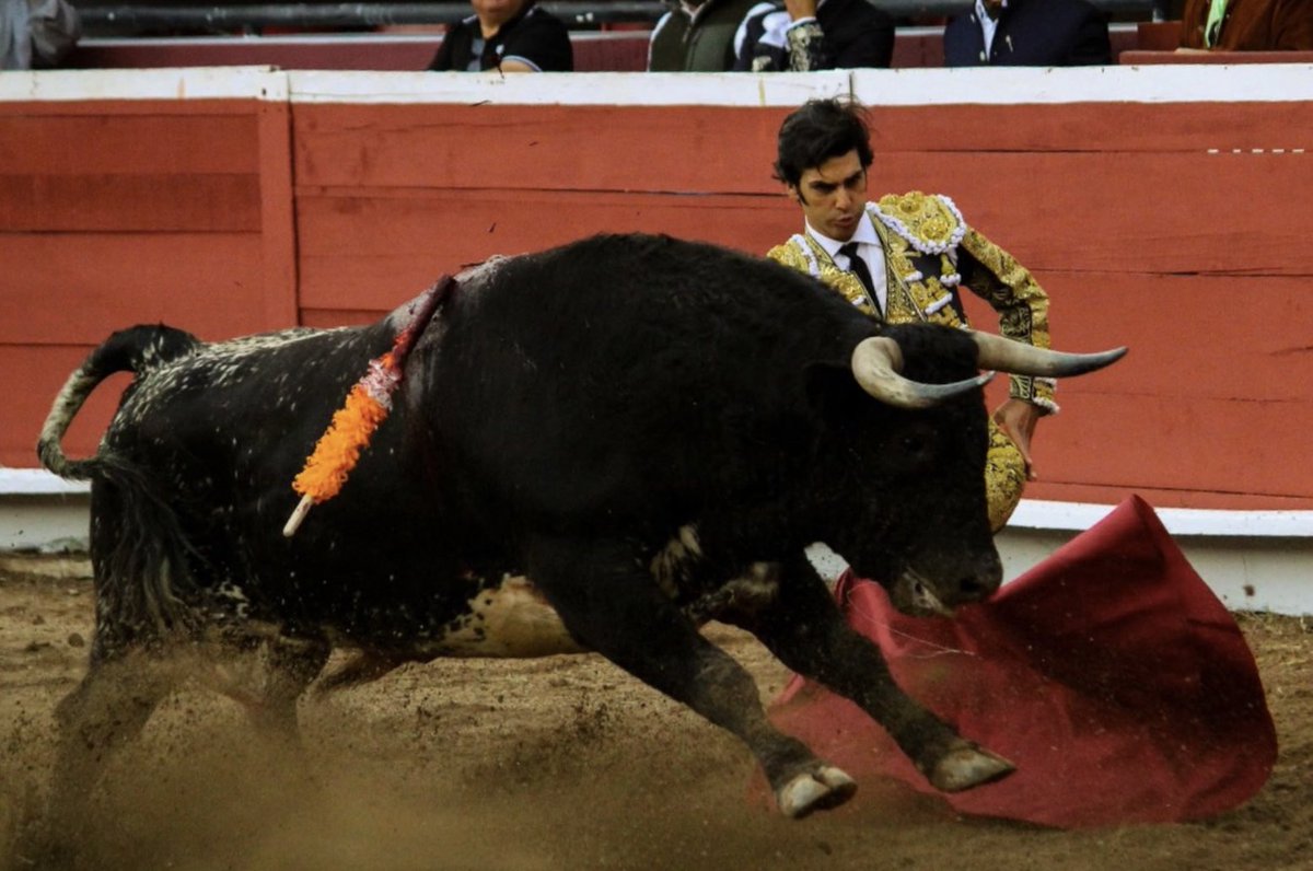 Lejos de ser el día soñado, que bonito es volverte a ver y que bonito es vestirse de torero. Nos volveremos a ver Pachuca.