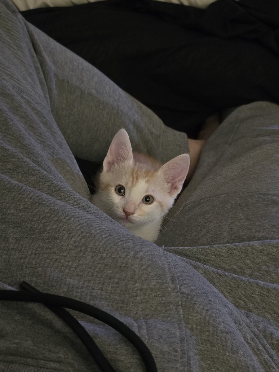 Kallans & Weasley tweet media