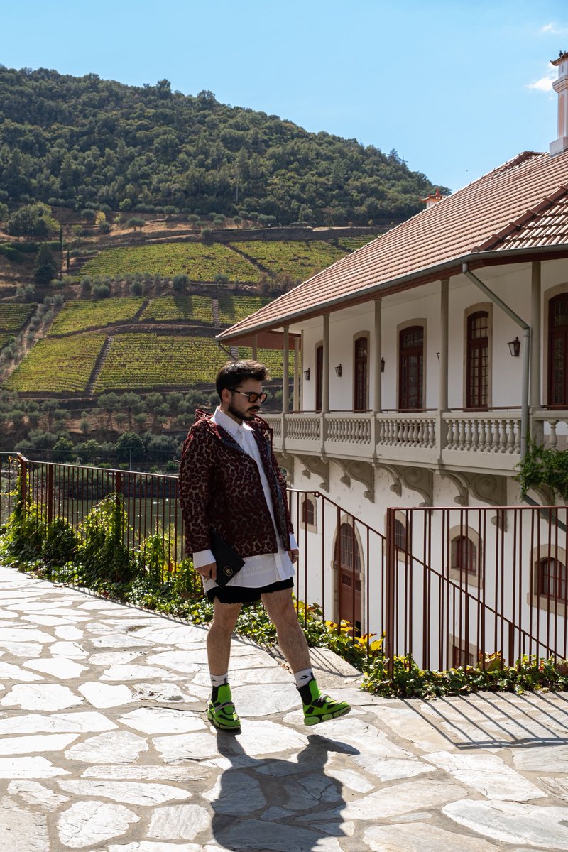 studio cesar majorana tweet media