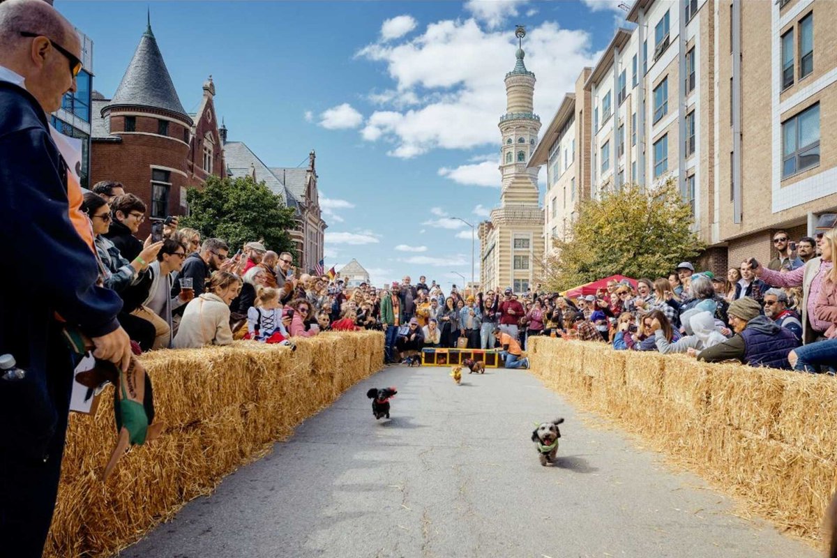 Fall is here CityWay!🍁 And we're lucky to be just minutes away from some of Indy's best fall fun such as Harvest Nights at Newfields, Zooboo at the Indianapolis Zoo, The Original and Fabulous German Fest at The Athenaeum, and much more! Be sure you don't miss out and check...