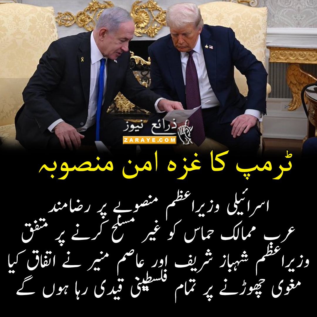 ZarayeNews's tweet image. ٹرمپ کا امن معاہدہ تمام اسلامی اور عرب ممالک نے بھی قبول کرلیا، نیتن یاہو بھی رضامند 

امریکی صدر نے حم اس کے کوٹ میں گیند پھینک دی، معاہدہ نہ ماننے پر اسرا ئی ل کی مکمل حمایت کا اعلان

فلسطین کو ریاست تسلیم کرنے والے ممالک کو بے وقوف قرار دے دیا

#ZarayeNews #Trump #trumpgaza