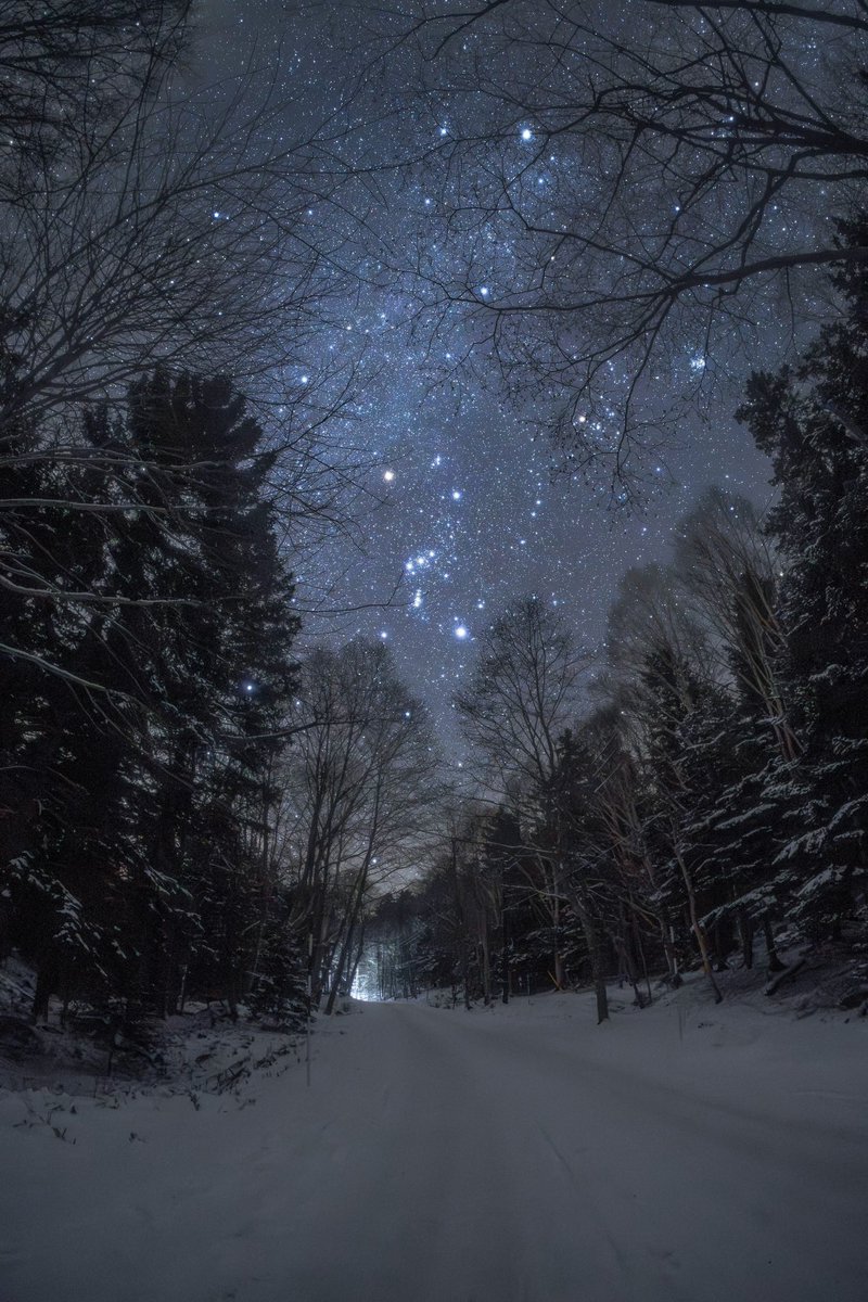 astropics's tweet photo. Orion 🥹 https://t.co/b8WV4tpHjk
