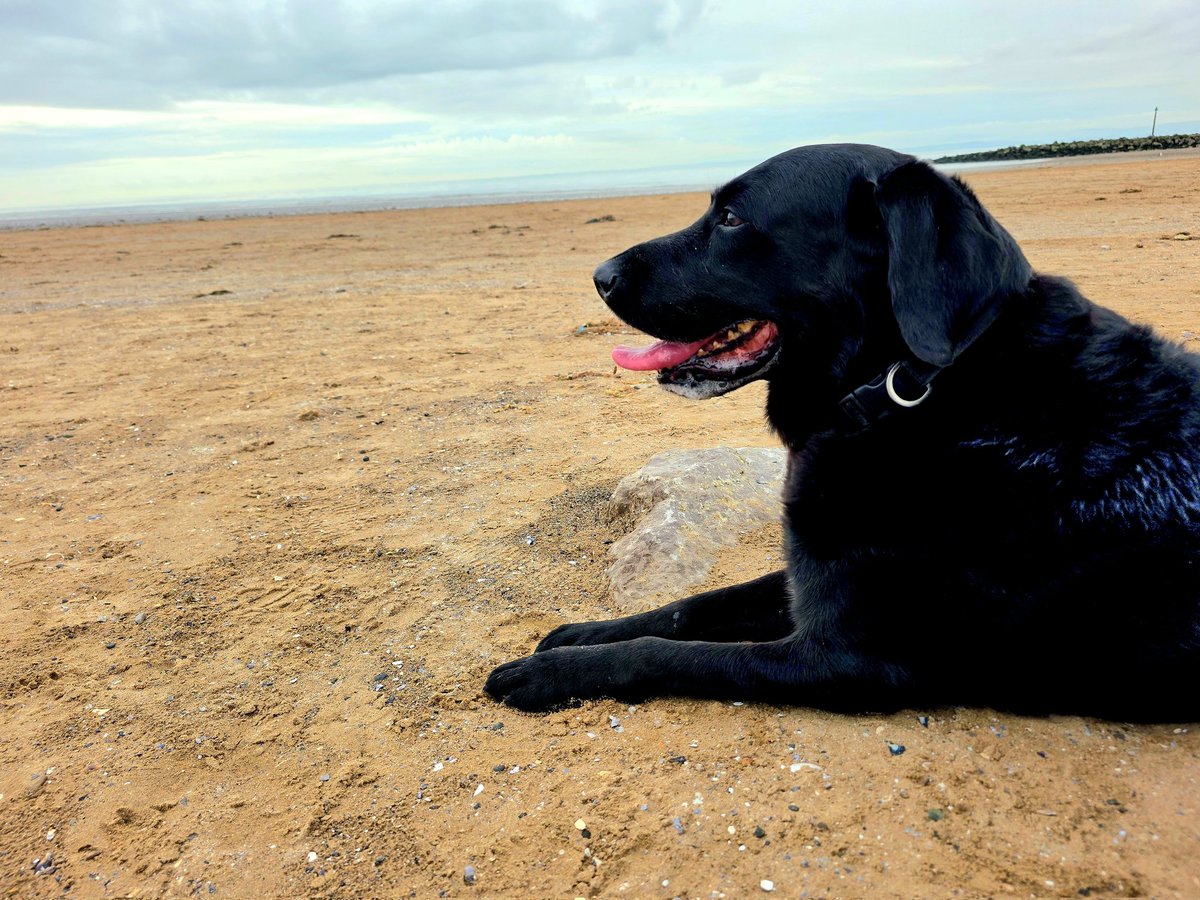 David Dunn 🇺🇦 tweet media