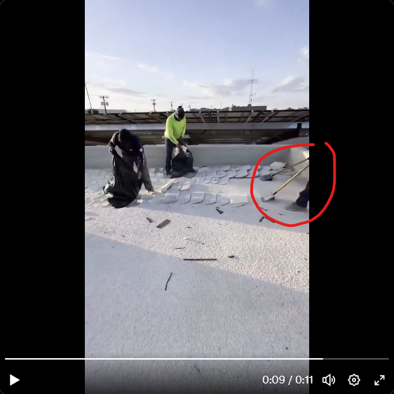 Mr.Pikachu tweet media