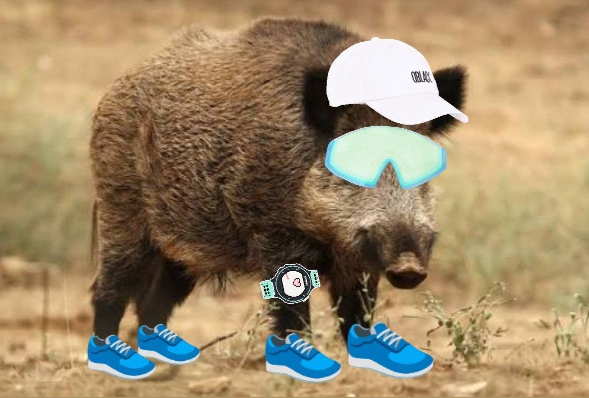 Кинг Spahić tweet media