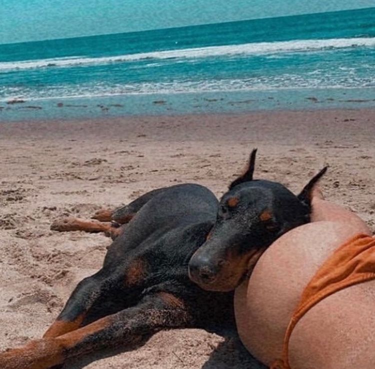 Alinoka2003's tweet photo. I'm a girl from Spain. I really want to try sex with animals. If you're a breeder, please message me. I don't have a pet of my own, but I'm ready to be a mate for your dog.😍🐶💦#Dog #k9 #animal #ArtofZoo https://t.co/zmpmOlbGle