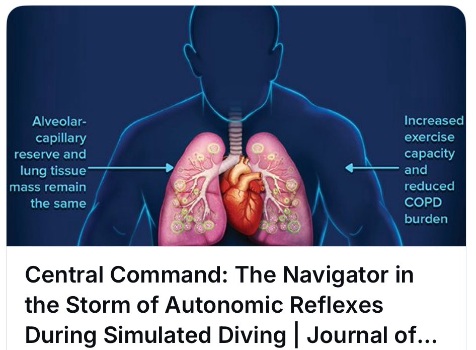 AlvaroRO_1965's tweet photo. “Diving Reflex: Central Command's Role in Control” reveals how central command is essential for sustaining diving bradycardia, even amidst competing exercise demands. #PhysiologyResearch #CentralCommand #Bradycardia #SportsScience #JAPPL
 https://t.co/zkgk3VXkdh https://t.co/CZPdyzF14u