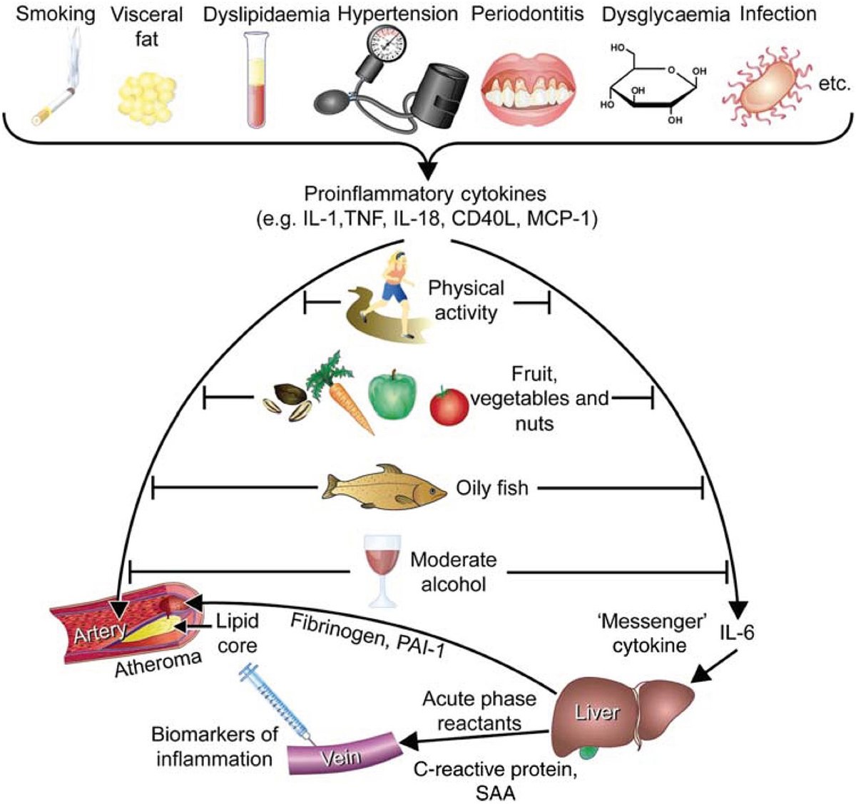 Victoria Ramos tweet media