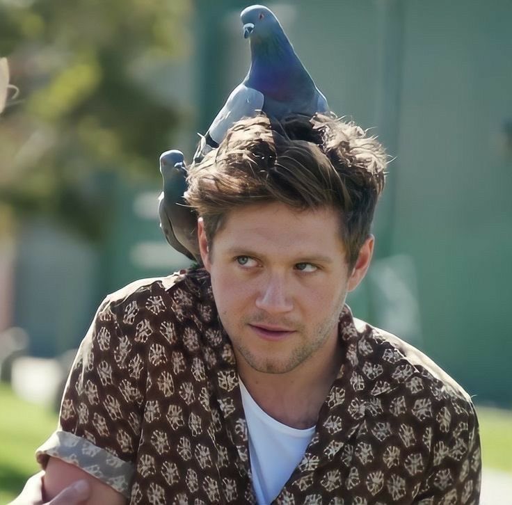 anaxtorres94's tweet image. Day 29 of Niall’s birthday month 🤍

Niall with animals 

#ProjectNiall #NiallsMonth 
@theniallcrave