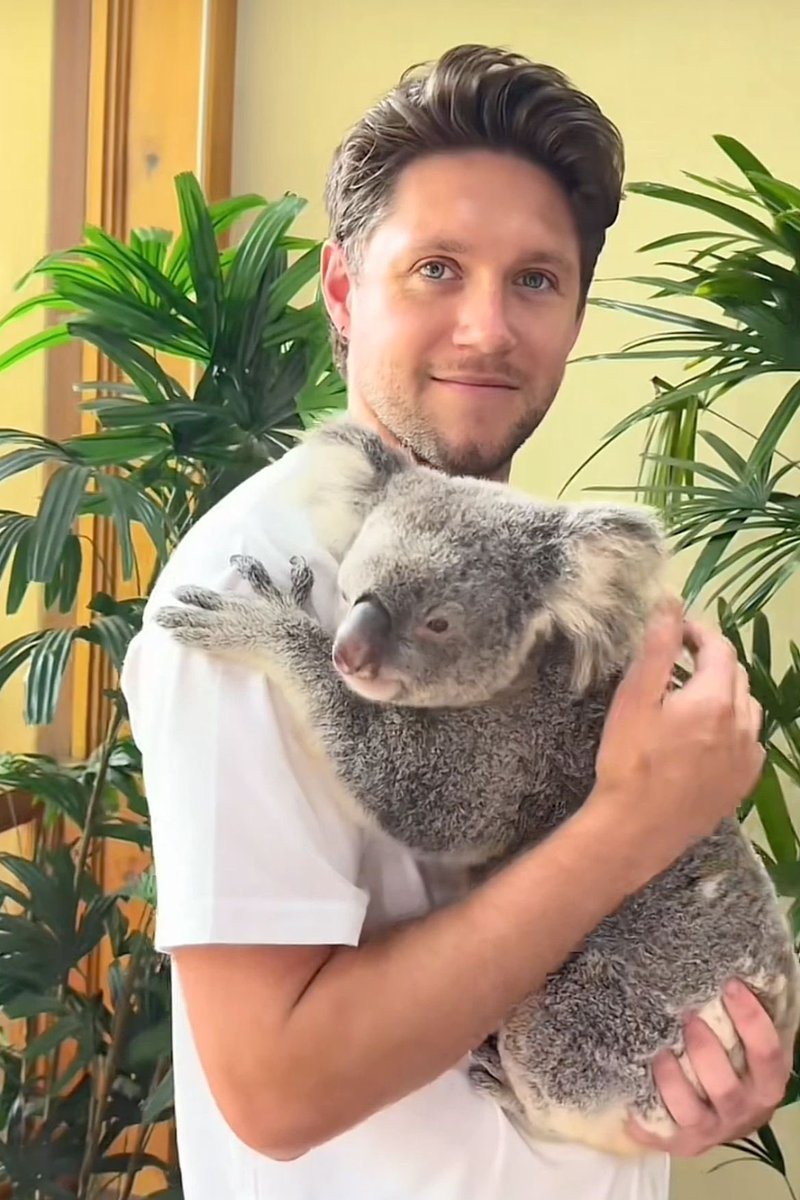 anaxtorres94's tweet image. Day 29 of Niall’s birthday month 🤍

Niall with animals 

#ProjectNiall #NiallsMonth 
@theniallcrave