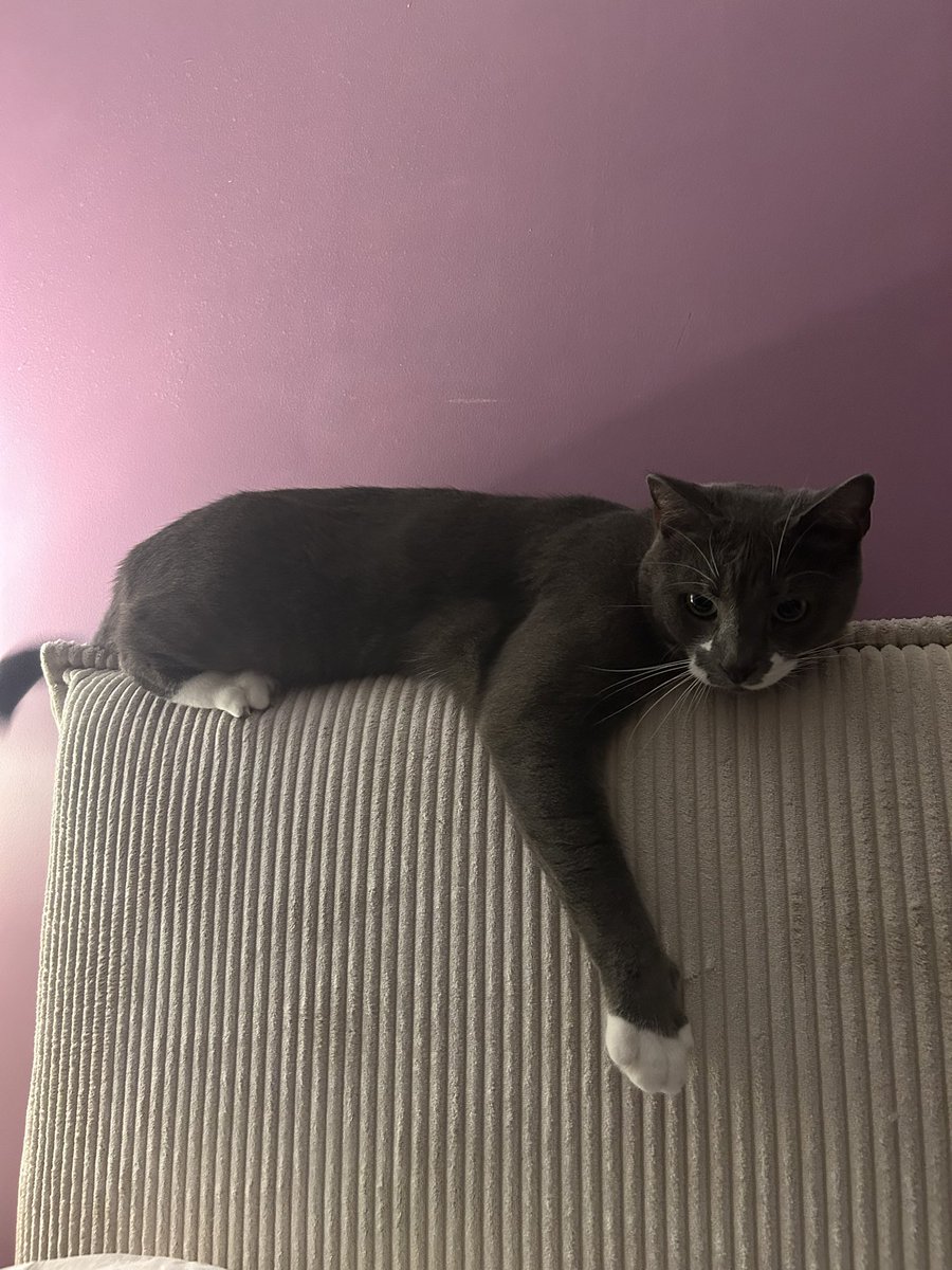 Fleur 🌸🌺 tweet media