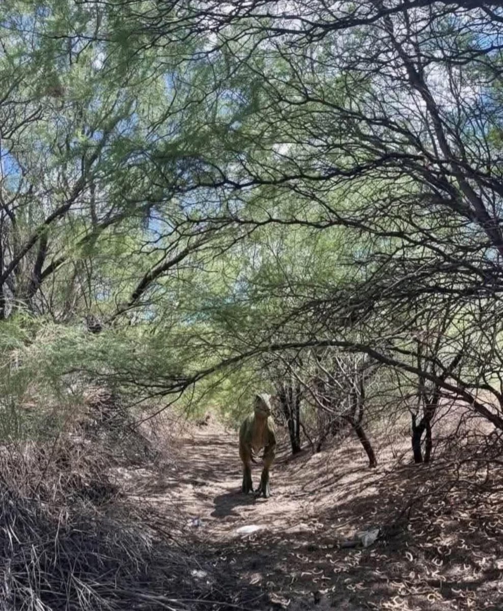nelvaldez's tweet photo. Sabía que el Tío Mau escondía un proyecto secreto en su rancho de #NuevoLeon 😅🙊 https://t.co/1JQrTuqO1m