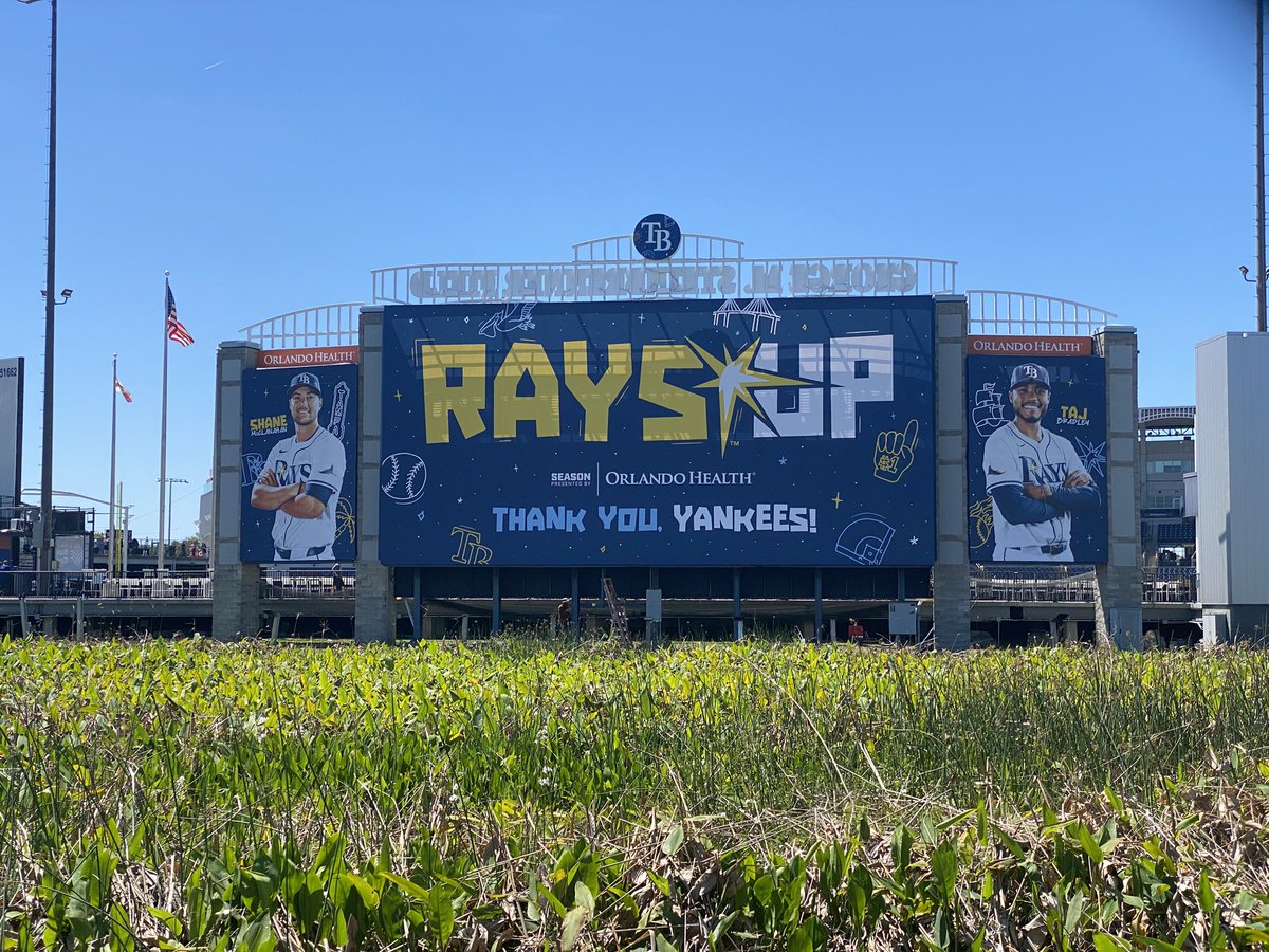 渡邊 誉（ワタナベホマレ） tweet media