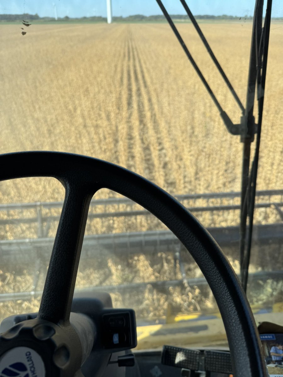 Finally started #harvest 25 est