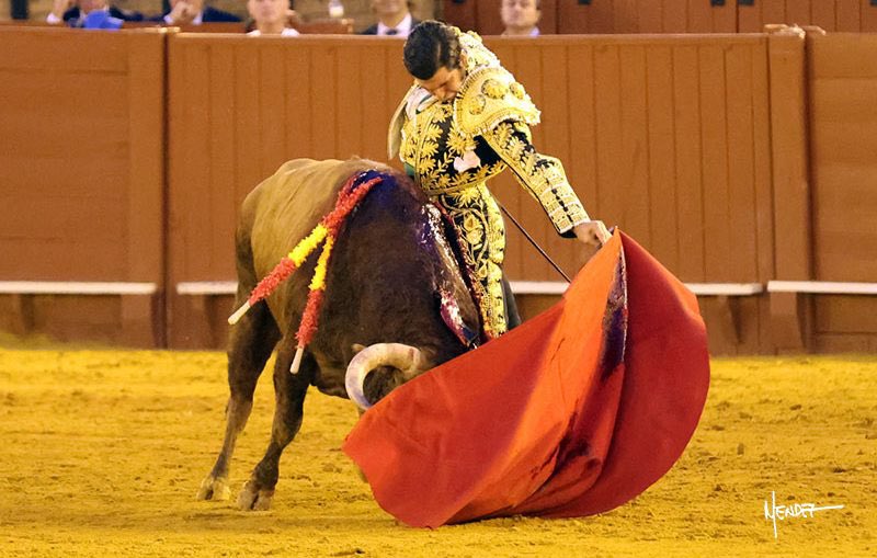 «Un hombre puede, si posee la auténtica sabiduría, gozar de todo el espectáculo del mundo desde una silla, sin saber leer, sin hablar con nadie, sólo con el uso de sus sentidos y con que el alma no sepa estar triste».

Fernando Pessoa | “Libro del desasosiego”