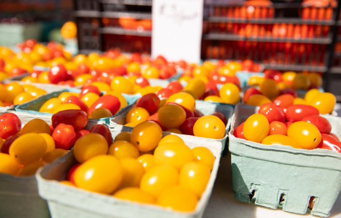 🍂 Thanksgiving is almost here! What better time to savour the fresh, local flavours of #DurhamRegion? Shop farm-fresh for your holiday meals and celebrate the harvest during #OntAgWeek. bit.ly/3PwO3Aw