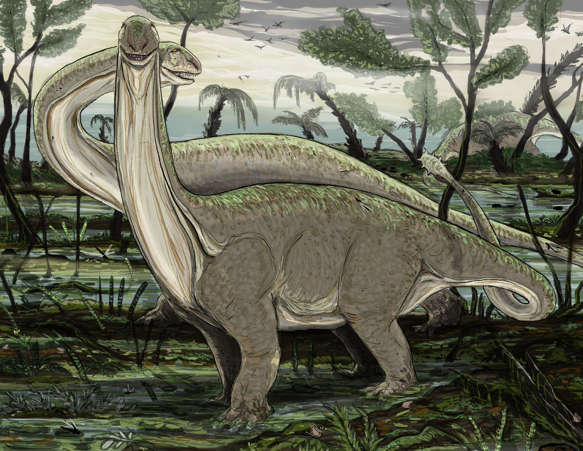 Group of adolescent Kotasaurus exploring flooded wetlands.
Early Jurassic, Kota Formation, India
#paleoart