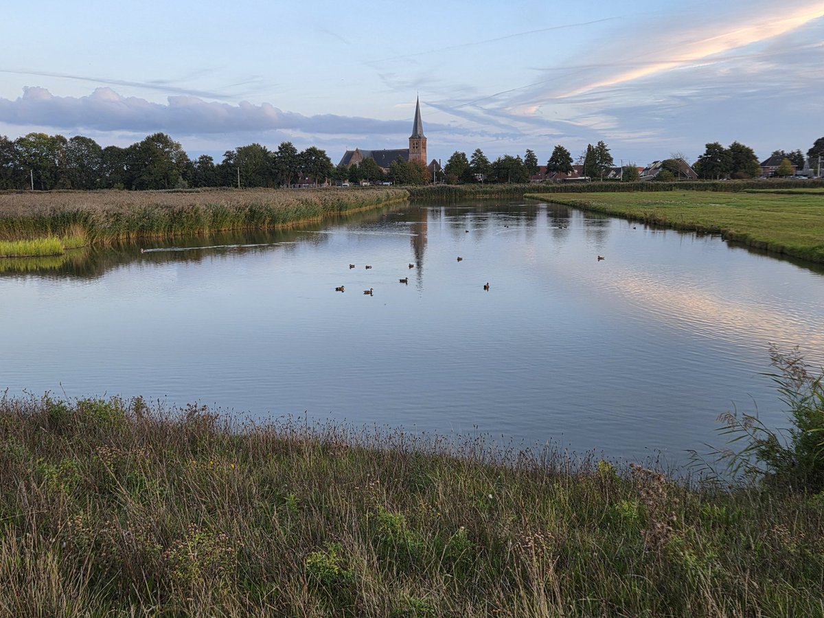 Avondloopje door de waterberging Het Drachterveld.