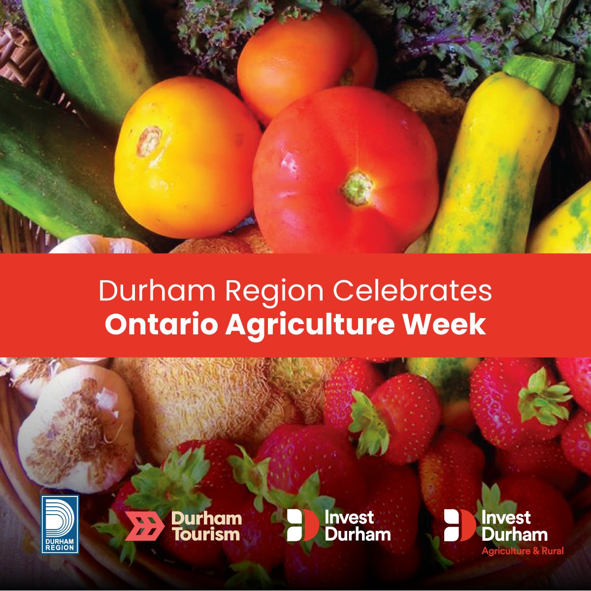 It’s Ontario Agriculture Week! 🍎🌽 From October 6–12 we celebrate the incredible contributions of our local food and farming community. Discover more about local food in #DurhamRegion: InvestDurham.ca/LocalFood
#OntAgWeek