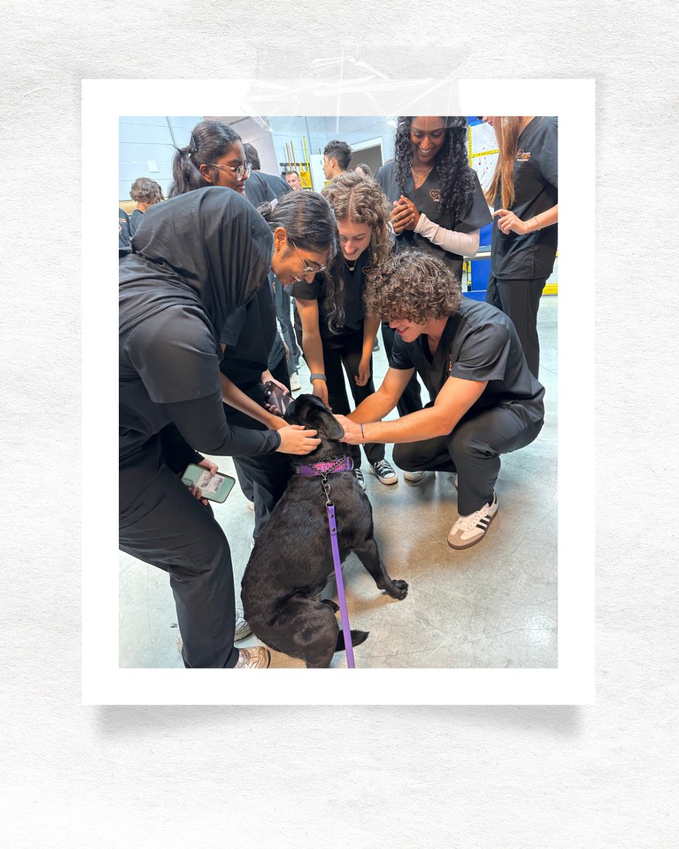 SCPS ePathways tweet media