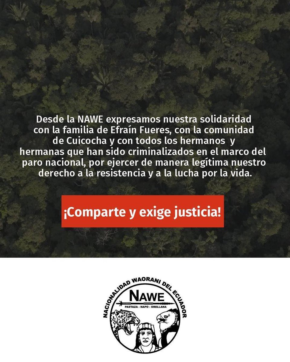 Nacionalidad Waorani del Ecuador-NAWE tweet media