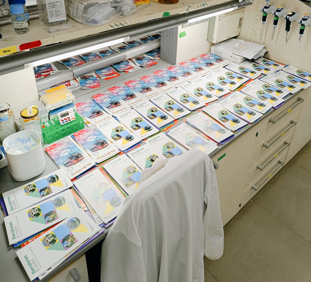 Eduardo Ruiz-López, PhD tweet media