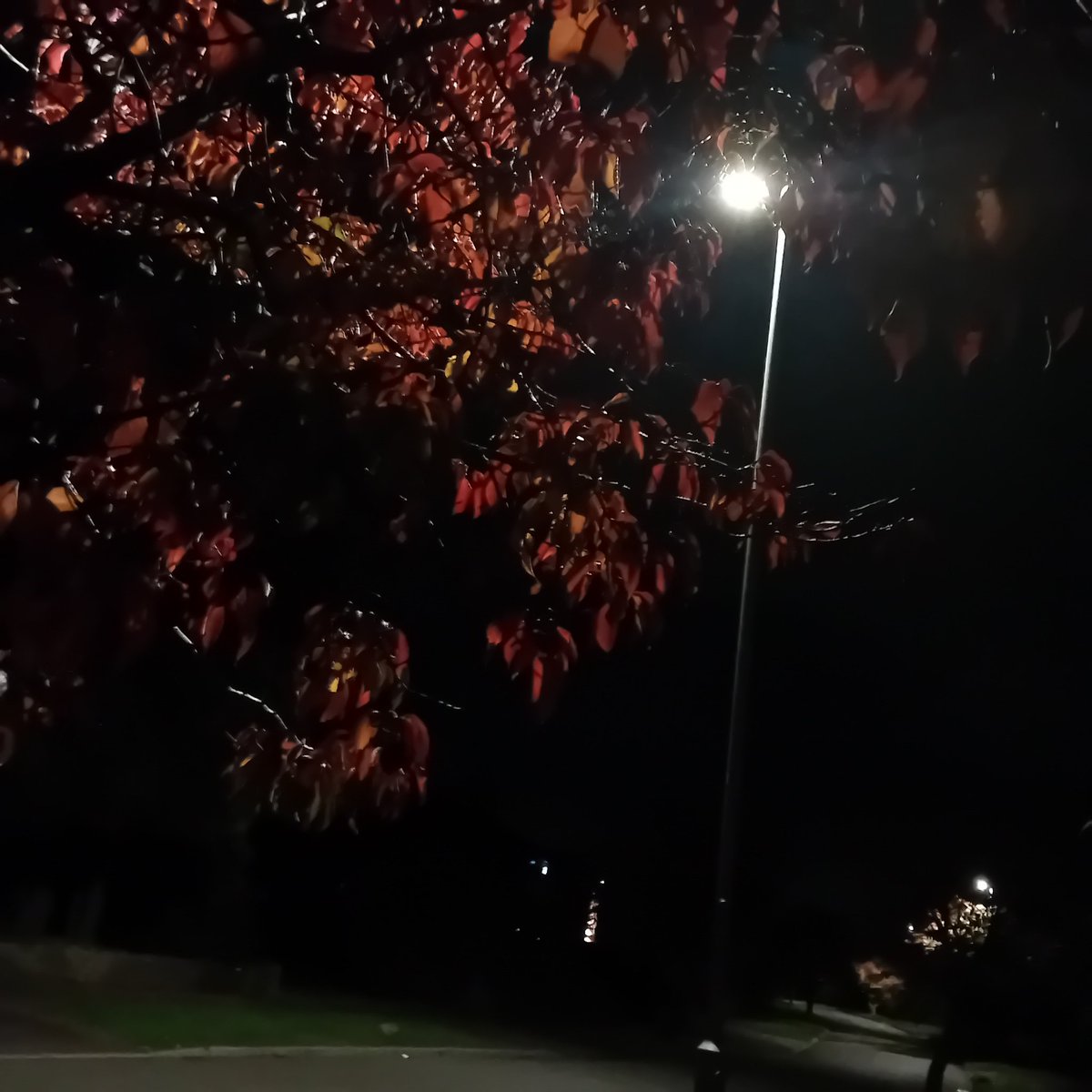 Erran Kun (@doitproperly) on Twitter photo 