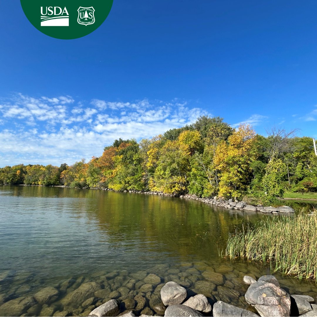 Check out the peak #fallcolors on the Chippewa National. Don’t miss the beautiful
canvas that nature provides. fs.usda.gov/r09/chippewa

USDA Forest Service photo by: Jen Guith
