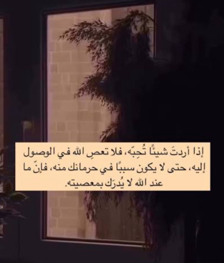 Amal_x7's tweet photo. إذا أردتَ شيئًا تُحِبّه
 فلا تعصِ اللّٰهَ في الوصولِ إليه حتَّىٰ لا 
يكونَ سببًا في حرمانكَ منه، فإنَّ ما عندَ اللّٰهِ 
لا يُدرَكُ بمعصيته! https://t.co/g5sCXIVVFO