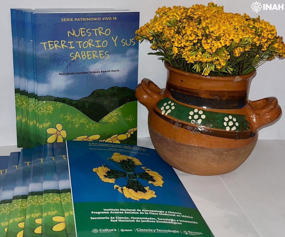 INAHmx's tweet photo. #ENTÉRATE 📢 Libro infantil destaca el uso tradicional del yauhtli en Morelos

• La utilidad de esta flor se remonta a la época prehispánica

Conoce más: https://t.co/Gko6q0wbLo

📸 CINAH Morelos. https://t.co/ourPGdS4QZ