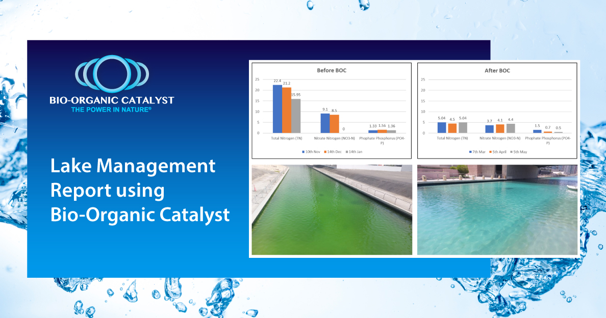 Community waterway challenges solved with Green Chemistry + Nano Tech.
✅ Oxygen ↑ 50%
✅ Chemicals ↓
✅ Costs ↓ 19%
Cleaner water. Lower costs. Healthier communities. 💧
Case Study 👉 bio-organic.com/lake-managemen…
#Sustainability #WaterManagement #Innovation