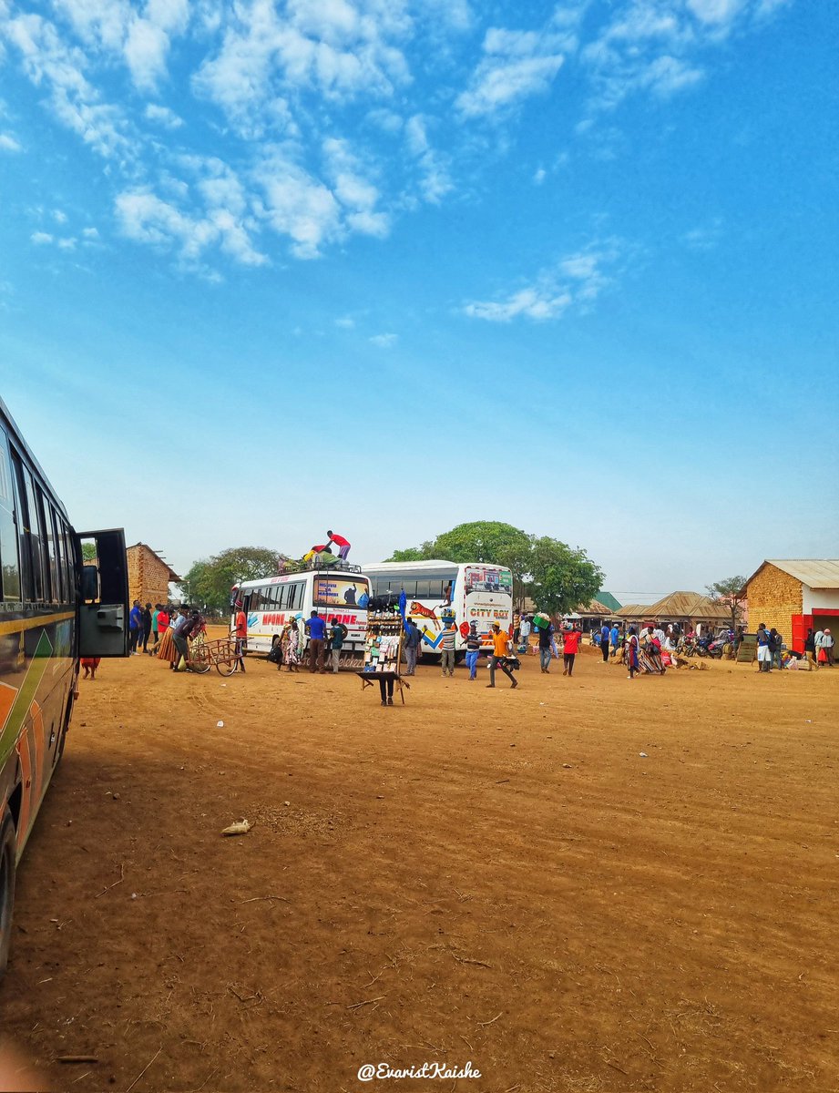 Tanzania Bound Buses tweet media