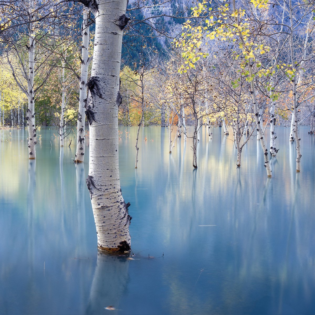 Fototripper tweet media