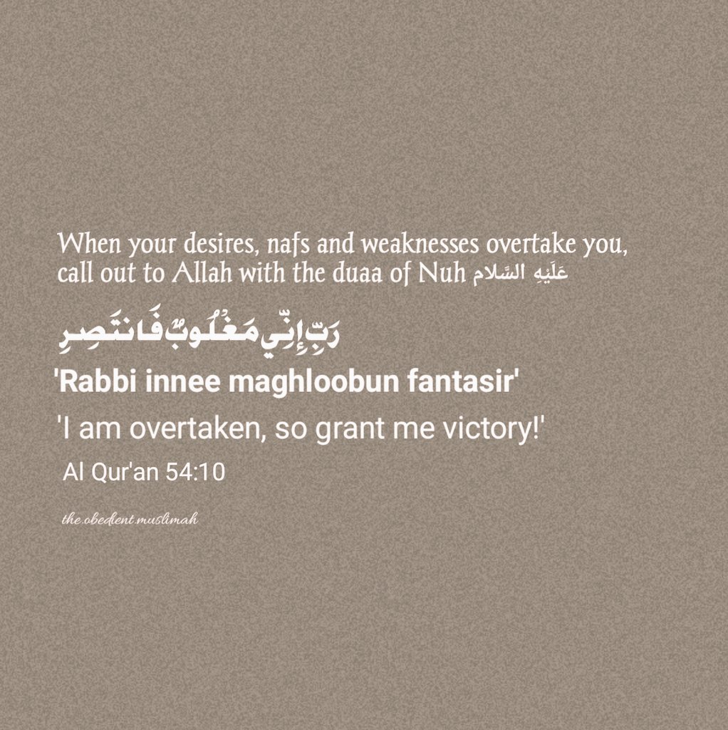 ﷽ tweet media