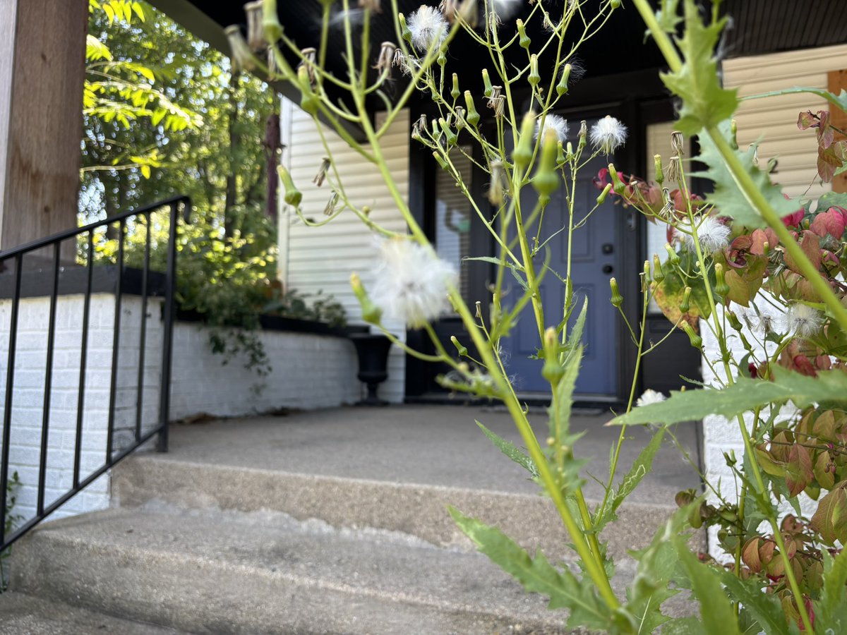 There’s now another resource to help unhoused people in Indy! 

This time it’s focused on youth facing homelessness. 

Hear about the new emergency young adult shelter at 4&amp;5 on <a href="/WTHRcom/">WTHR.com</a>