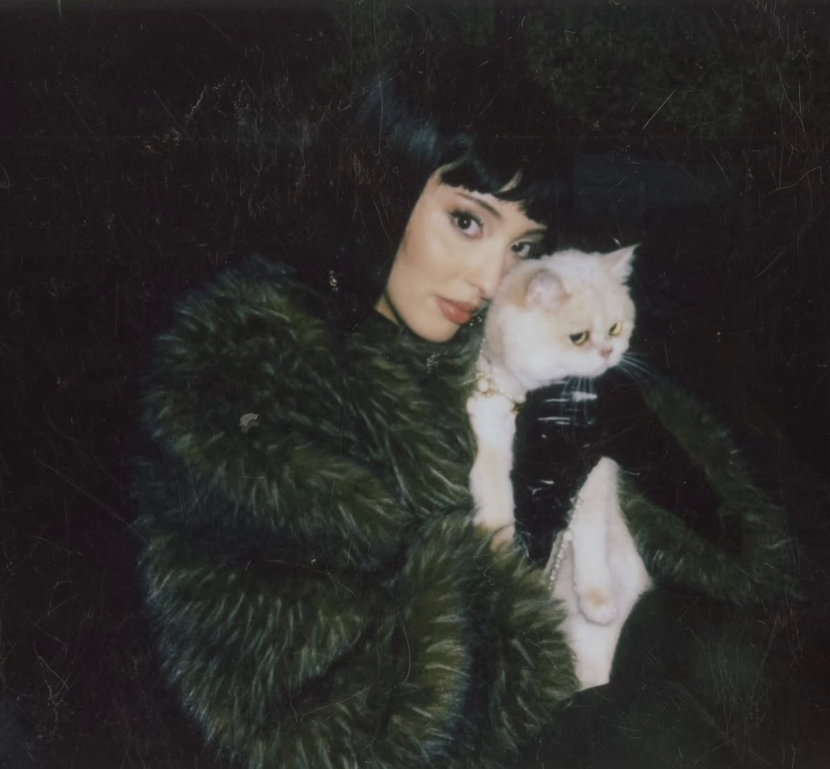 🚨 | FAOUZIA’S DEBUT ALBUM TITLED “FILM NOIR” WILL BE RELEASED ON NOVEMBER 7TH, 2025 !!!!!!