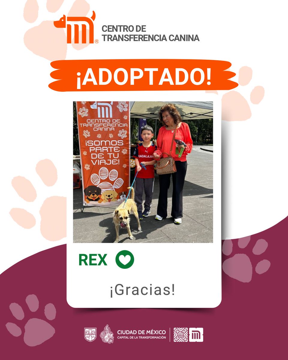 🥳🐶¡Alegría total! Rex ha sido adoptado y ahora vivirá rodeado de cariños; encontró a la familia ideal para crear grandes historias de amor y felicidad 🐾🏡🤍 #AdoptaMetro #AUnMetroDeSuHogar