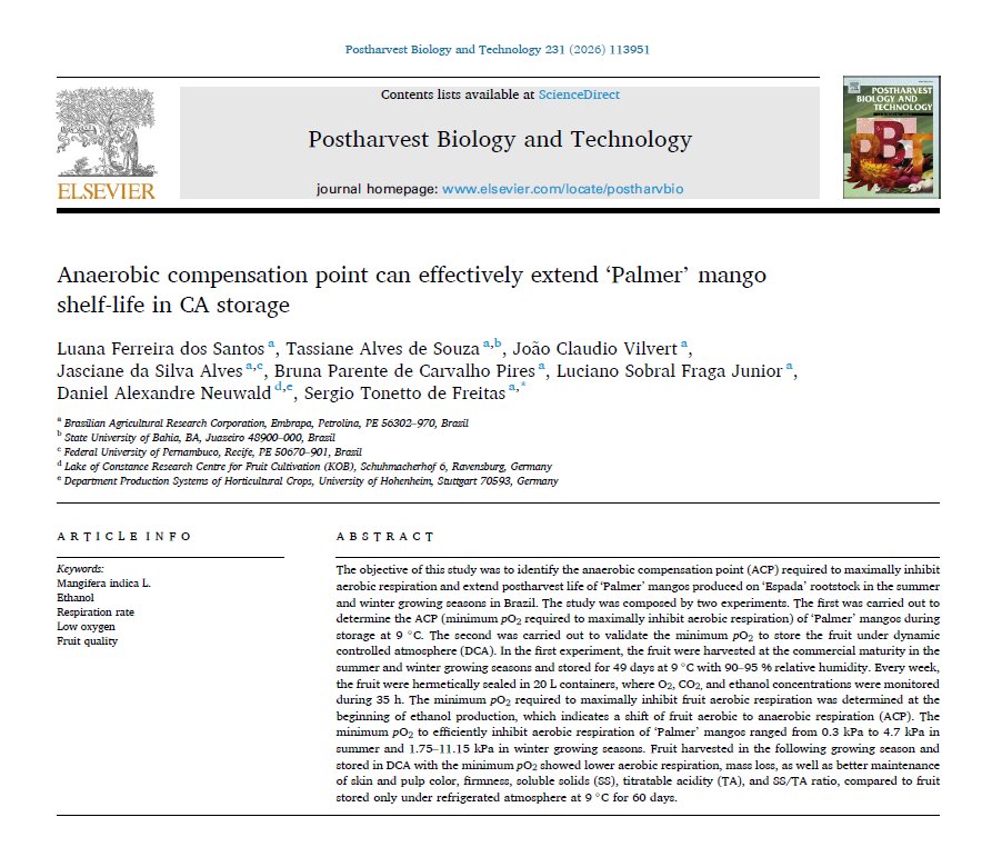 Nacherntephysi1's tweet photo. How to keep mangos fresh longer? 🥭
👉 Control O₂ at the anaerobic compensation point (ACP)!
New study shows extended shelf-life & quality in ‘Palmer’ mango under DCA storage 🌱❄️
Collab: EMBRAPA, UESB, UFPE, KOB, Uni Hohenheim
🔗 https://t.co/FWvEp5Ub8B
#MangoResearch https://t.co/YEbcr57RHn
