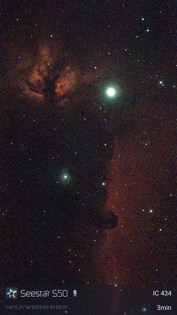 takku2's tweet image. 今朝のレモン彗星、オリオン大星雲、馬頭星雲と燃える木
#レモン彗星 #c2025a6lemmon #オリオン大星雲 #m42 #馬頭星雲 #燃える木 #ic434 #orionnebula #hoseheadnebula #はこだて天文宇宙クラブ #乙部町 #北海道 #seestar