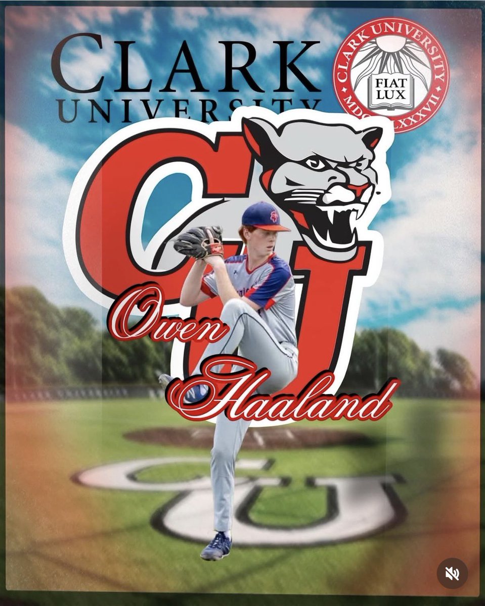 Mansfield HS Hornets Baseball tweet media