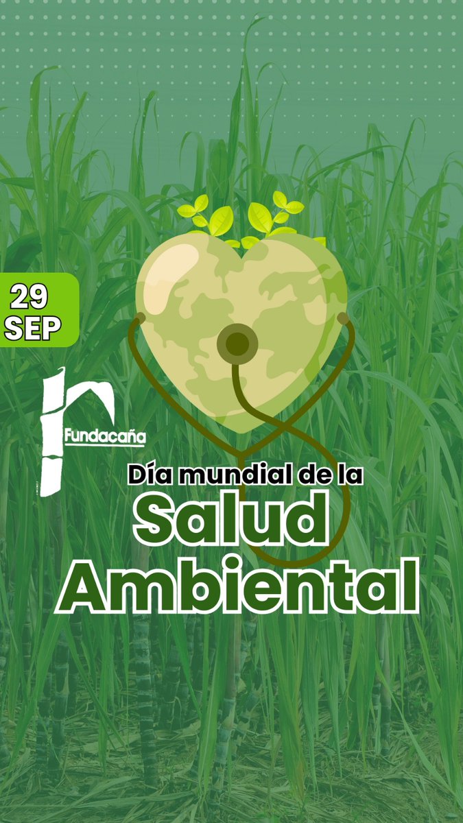 Día Mundial de la Salud Ambiental, en FUNDACAÑA reafirmamos nuestro compromiso con la sostenibilidad y el trabajo realizado en armonía con el ambiente. La salud del planeta es la base de la producción cañera responsable.Proteger la flora, la fauna y el agua es tarea de todos. 🌎
