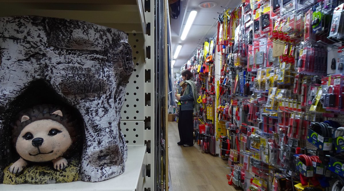 nickstew_art's tweet image. #Waterloo Home and Hardware shop: better than most galleries. (Also great for just about anything, &quot;#home and #hardware&quot;.)