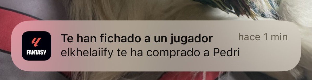 ErJeffra tweet media