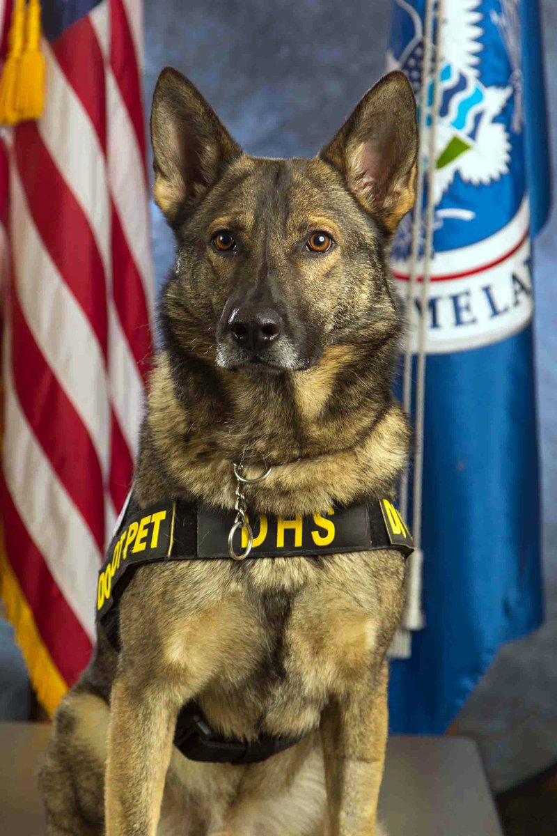 TSA Southeast tweet media