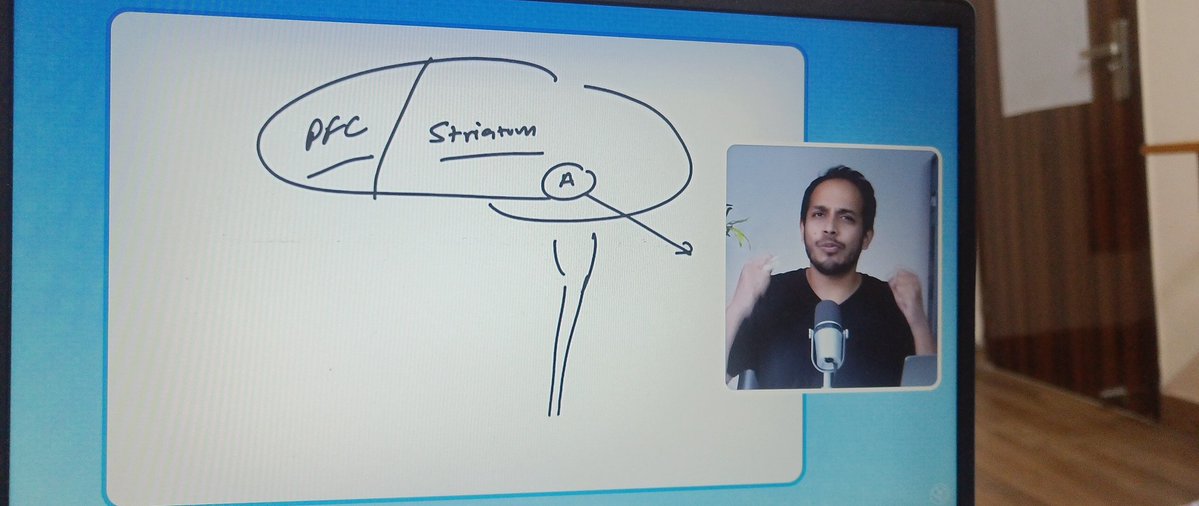 Code_Binge's tweet image. I have Data science exam tomorrow and I'm busy learning why my brain is sooo chill about it.